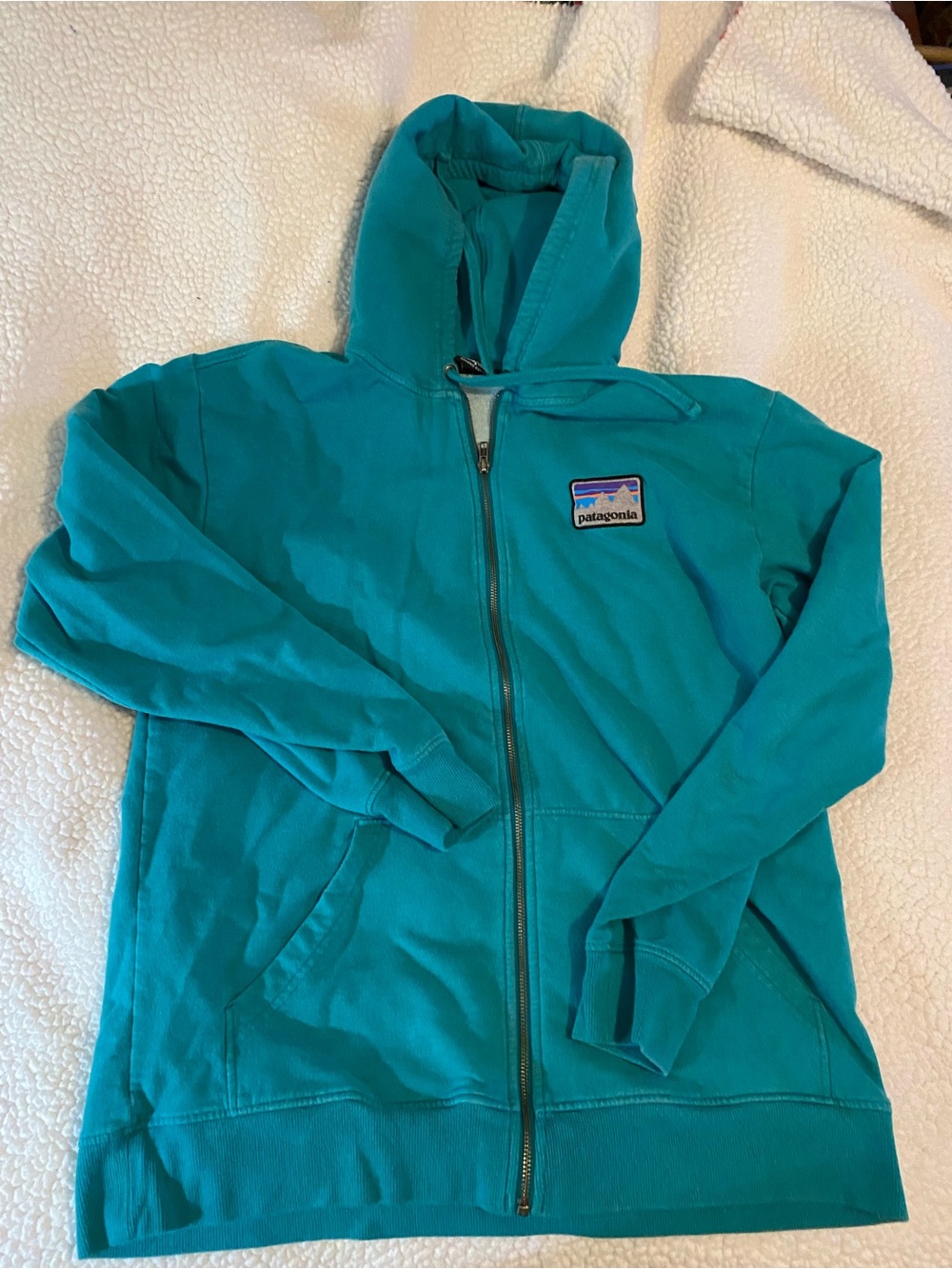 Patagonia Teal Zip-Up Hoodie with Mountain Patch size large